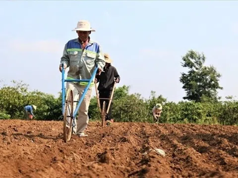 Nhiều điểm mới về việc đền bù khi bị thu hồi đất nông nghiệp theo Luật Đất đai 2024