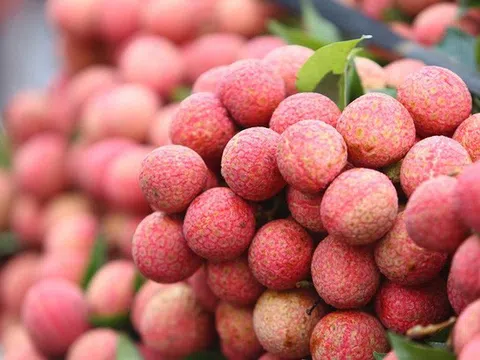 Vải thiều Việt Nam bán tại Thái Lan giá 250.000 đồng/kg