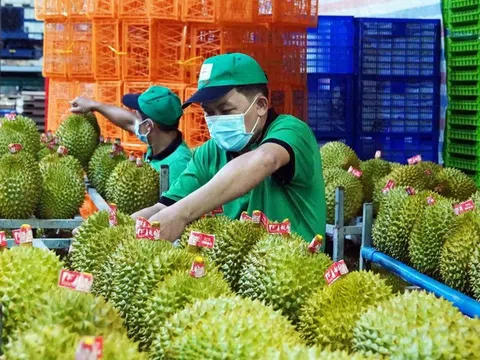 Xuất khẩu rau quả có thể đạt 7 tỷ USD trong năm nay