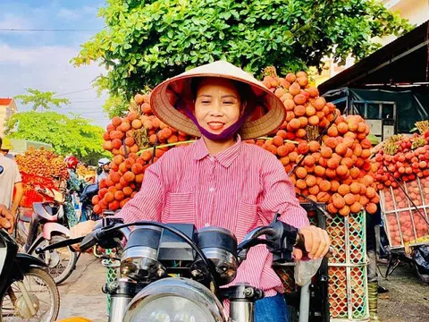 Mùa vải thiều năm 2024: Cung không đủ cầu, lập kỷ lục về giá