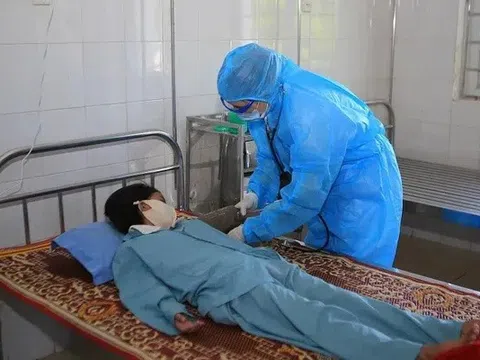 Bộ Y tế: Giám sát, phát hiện sớm, xử lý triệt để ổ dịch bệnh bạch hầu