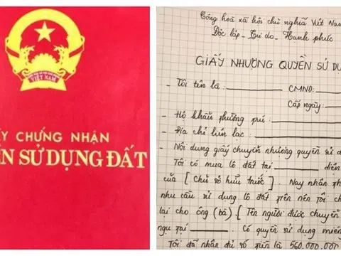 TP. Hồ Chí Minh hướng dẫn dẫn cấp sổ đỏ cho đất có trước năm 1993