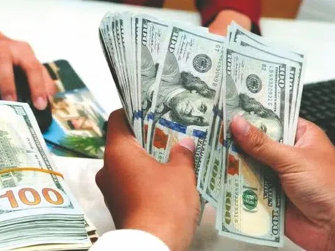 Tỷ giá USD hôm nay 1/8: Đồng loạt giảm, USD trong nước ở mức 24.255 đồng