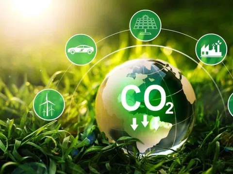 Dự kiến, năm 2028, sàn giao dịch tín chỉ carbon tại Việt Nam được đưa vào vận hành