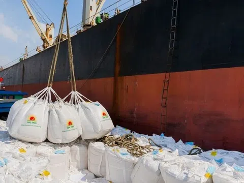 Indonesia mời thầu 350.000 tấn gạo trắng 5% tấm, cơ hội cho gạo Việt