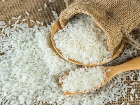 Indonesia muốn nhập khẩu 900.000 tấn gạo từ nay đến cuối năm