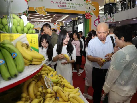 Để trái cây Việt Nam đi sâu vào Trung Quốc: Cần có chiến lược dài hạn?