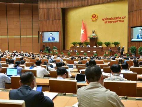 Nhà ở thương mại thông qua thỏa thuận: Cần nghiên cứu kỹ việc áp dụng cơ chế thí điểm với đất chuyên trồng lúa và đất rừng