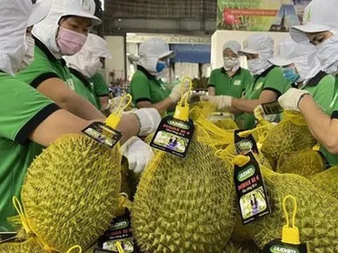Xuất khẩu rau quả ước đạt 7,5 tỷ USD, Trung Quốc chiếm tới 70%