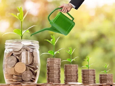 19 doanh nghiệp chốt trả cổ tức, tuần từ ngày 18 đến 22/11