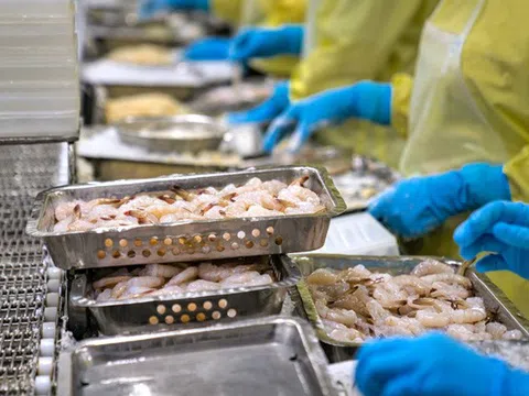 Kỳ vọng xuất khẩu tôm vượt mốc 4 tỷ USD sau khi ông Trump đắc cử