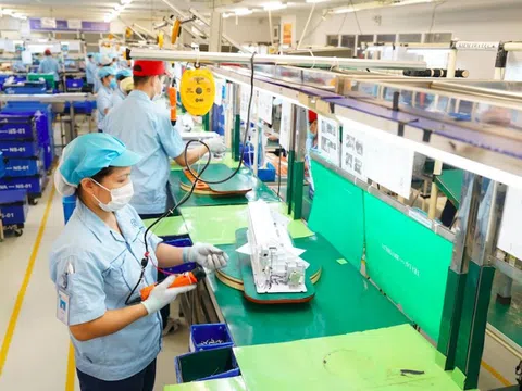 Doanh nghiệp Việt Nam đối mặt với sóng gió: Bài toán sinh tồn 2025