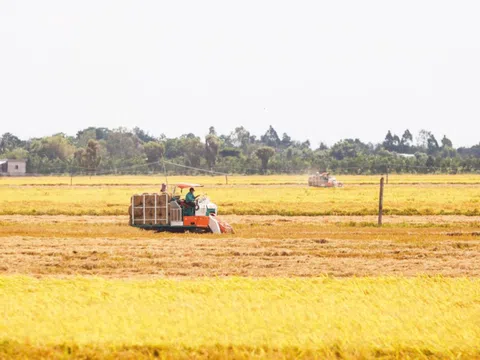 Long An: Bức tranh kinh tế - xã hội năm 2024 với nhiều điểm sáng