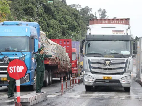 Lạng Sơn: Có 1.132 phương tiện vận tải hàng hóa thông quan xuất nhập khẩu trong ngày đầu tiên năm 2025