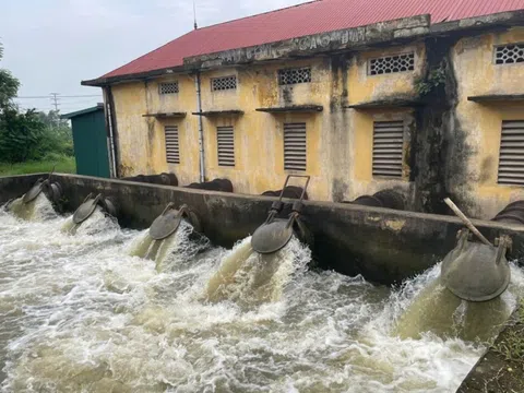 VĨnh Phúc: Kiểm tra công tác chuẩn bị lấy nước đợt I phục vụ gieo cấy vụ Đông Xuân 2024-2025