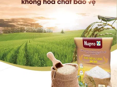 Gạo Hapro Đồng Tháp được vinh danh Top 2 “Hàng Việt Nam được người tiêu dùng yêu thích” năm 2024