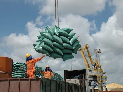 Mở rộng thị trường, giữ vững tăng trưởng xuất khẩu gạo