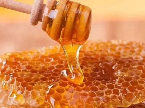Doanh nghiệp xuất khẩu mật ong sang thị trường Bắc Âu lưu ý ghi nhãn chuẩn theo truy xuất nguồn gốc