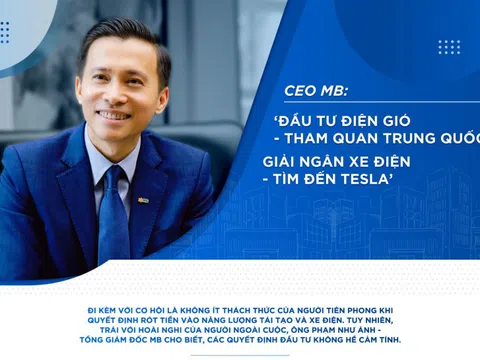 CEO MB: "Đầu tư điện gió, tham quan Trung Quốc - giải ngân xe điện, tìm đến Tesla"