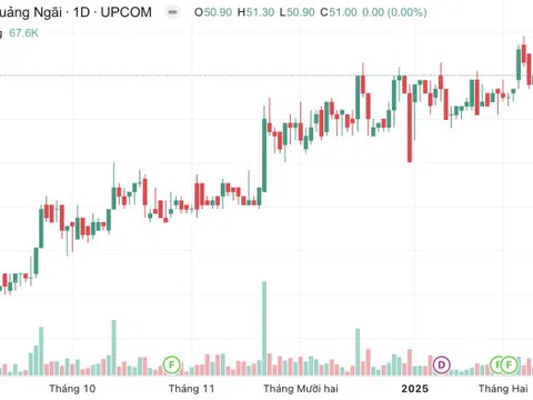 Phó Chủ tịch HĐQT Đường Quảng Ngãi muốn sở hữu trên 9% vốn công ty