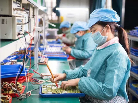 Hơn 56% doanh nghiệp FDI báo lỗ trong năm 2023