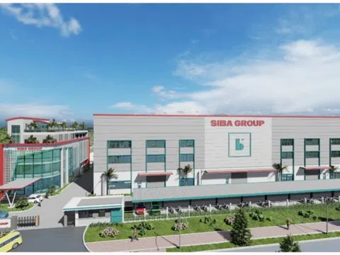 Lãnh đạo Siba Group đăng ký bán 40.800 cổ phiếu