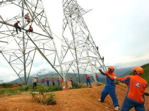 Sông Đà 11 (SJE) đặt mục tiêu lợi nhuận năm 2025 tăng 14,7% dù doanh thu dự kiến sụt giảm