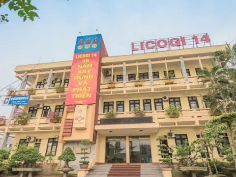 Licogi 14 đặt mục tiêu năm 2025 lãi 20 tỷ đồng