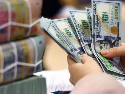 Tỷ giá USD hôm nay 13/3: Đồng USD hồi phục nhẹ