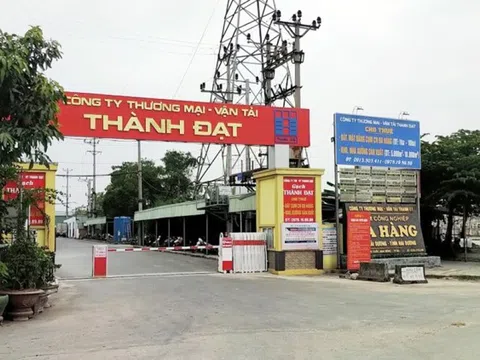 Hải Dương cho Công ty Thành Đạt thuê đất xây dựng Cụm Công nghiệp