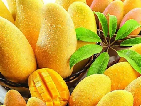 Xoài: 'Siêu thực phẩm' giúp phòng ngừa tiểu đường type 2
