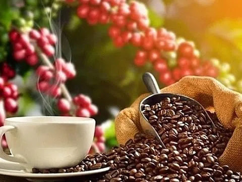 Giá cà phê hôm nay 24/3: Duy trì ổn định và neo ở mức cao