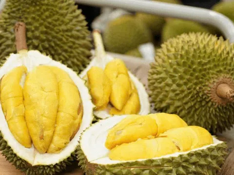 Giá sầu riêng hôm nay 25/3: Ri6 giảm mạnh