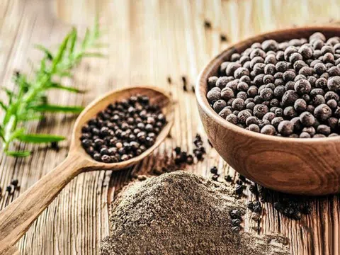 Giá tiêu hôm nay 28/3: Ổn định so với hôm qua