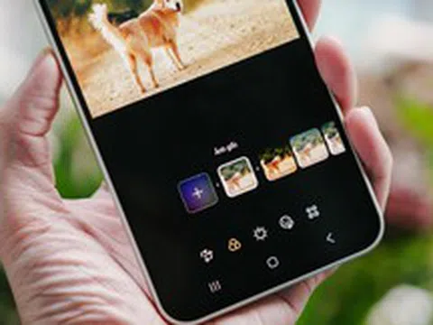 Galaxy A series mới và AI đã giúp tôi thành chuyên gia chụp ảnh chó cưng như thế nào