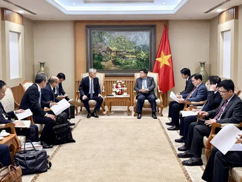 Hoan nghênh phát triển điện sinh khối tại Việt Nam