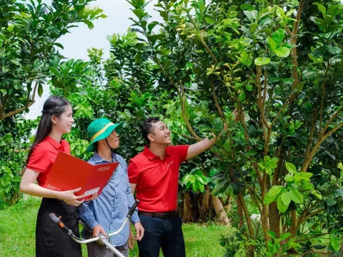 Agribank ưu đãi lớn, hỗ trợ chuyển đổi hộ kinh doanh thành doanh nghiệp