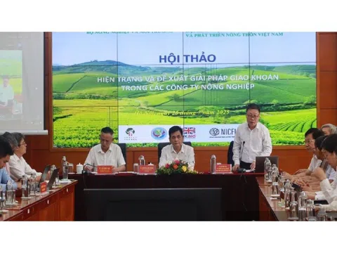 Giao khoán đất trong công ty nông nghiệp: Cần cân bằng lợi ích '2 nhà'