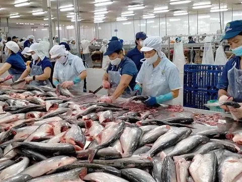 6 tháng năm 2024, kim ngạch xuất khẩu thủy sản của Việt Nam đạt 4,36 tỷ USD