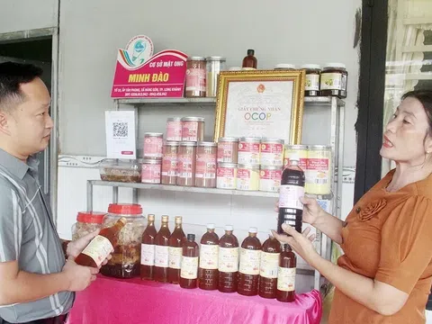 Tuần hàng Việt Nam ở Đồng Nai: Nhiều sản phẩm chất lượng giảm giá sâu