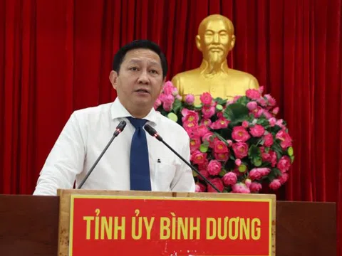 Bình Dương: Đấu giá 117 khu đất