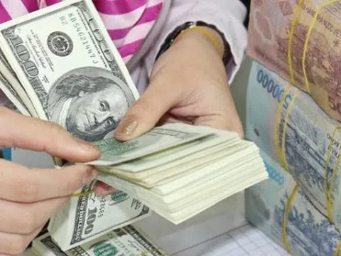 Tỷ giá biến động, doanh nghiệp xuất nhập khẩu cần làm gì để ứng phó?