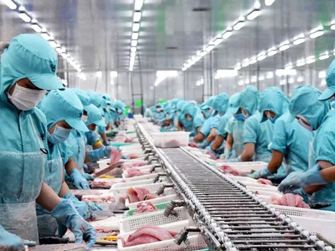 Xuất khẩu thủy sản lập kỷ lục, kim ngạch vượt 10 tỷ USD