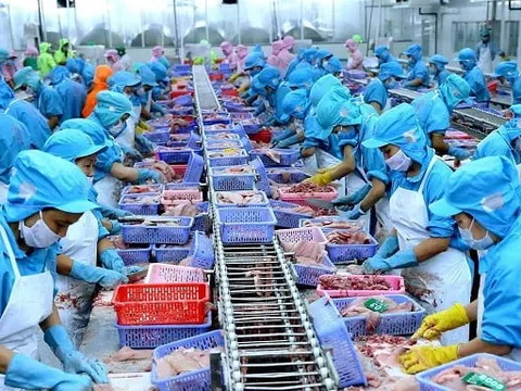 Xuất khẩu thủy sản năm 2022 ghi nhận nhiều kỷ lục