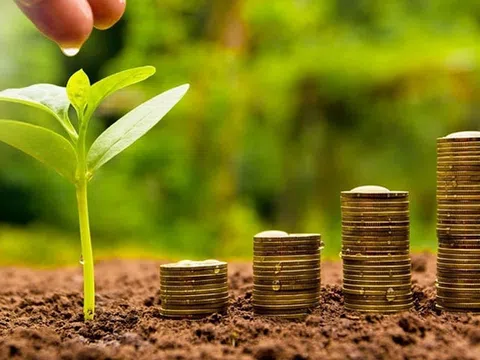 Lịch chốt quyền cổ tức tuần 6-10/5: Gần 30 doanh nghiệp "lăn chốt", cổ tức tiền mặt cao nhất 53%
