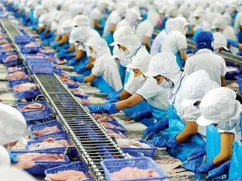 Vĩnh Hoàn (VHC) : Đạt 1.091 tỷ đồng doanh thu trong tháng 4, tăng 25%