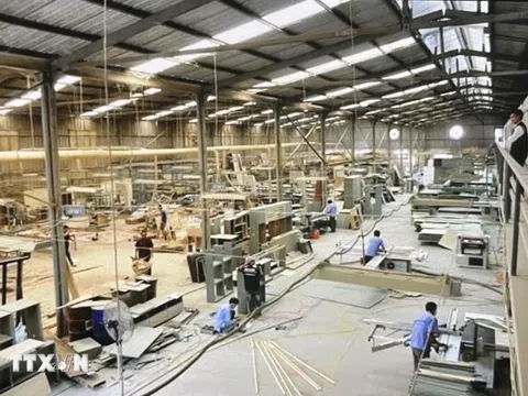 Chế biến và xuất khẩu gỗ chọn hướng đi mới