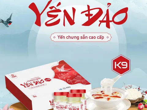 Yến sào Thượng Đỉnh - K9: Khôi phục sức khỏe từ thiên nhiên