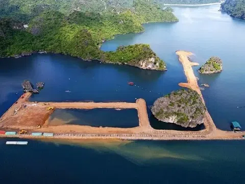 Vụ quây núi thành 'hòn non bộ' ở vùng đệm vịnh Hạ Long: Bộ TN&MT lên tiếng