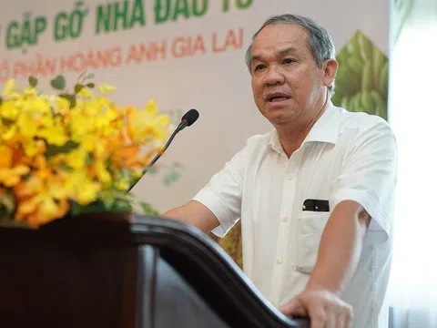 Em gái bầu Đức muốn bán cổ phiếu của HAGL để cân đối tài chính cá nhân